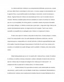 Violencia Y Sus Tipos