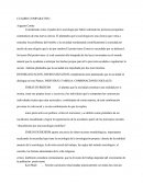 Teoria De La Sociologia