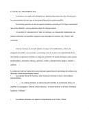 CULTURA LATINOAMERICANA