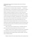 Sistemas De Información Geográfica