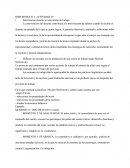 Actividades De Planeación Docente