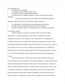 Historia Argentina