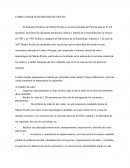 CUIDANDO A MACHU PICCHU