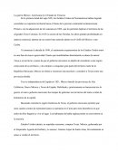 La Guerra Mexico Americana En El Estado De Veracruz
