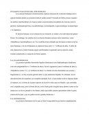 Estados Evolutivos Del Ser Humano