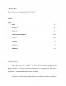 Determinación De Densidad De Líquidos Y Sólidos
