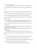 Preservemos Machu Picchu