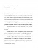 Valor Nutricional Del Chocolate