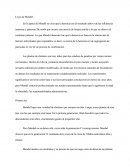 Leyes De Mendel