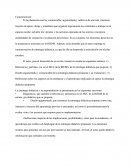 Caracterización De La Planeación