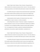 Patria Potestad