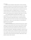 Formacion De Una Firma De Contadores