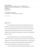 LA CITTADINANZA ITALIANA