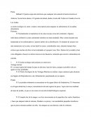 Nichos Ecologicos De Diversos Animales