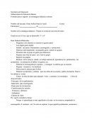 Formato Para El Registro De Estrategias Didácticas