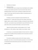 Cultivo De Arándanos En El Perú