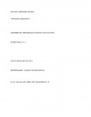 Informe De Lectura