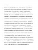 Sociedad De Responsabilidad Limitada Honduras