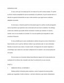 Derecho Penal Economico