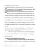 Seguridad Y Salud En Las Minas