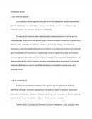 Introduccion A Los Sindicatos