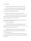 Sistema Inmunologico