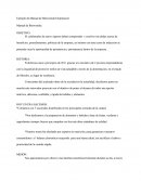 Manual Organizacional