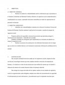 Inseguridad En La Wed