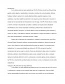 Las redes inalámbricas (WLAN, Wireless Local Area Network)