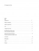 El Triangulo De La Vida