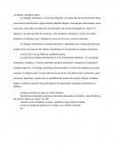 Alergia alimentaria Causas y factores de riesgo