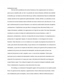 Inamovilidad Laboral En Venezuela