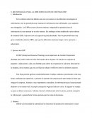 Metodologia Pra La Implementacion De Un Sistema ERP