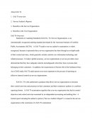 Statement on Auditing Standards