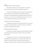 Racionalidad Y Felicidad: El Dilema De La Organización