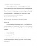 Administracion de Recursos Humanos. Planeacion, analisis de puestos, reclutamiento