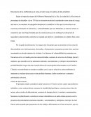 Laderas De Alta Pendiente