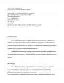 CREANDO NUESTRO “PROPIO”JARDIN