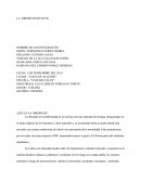 LA OBESIDAD INFANTIL