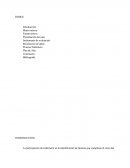 Hipertension En El Embarazo