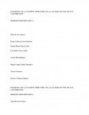 INCIDENCIA DE LA EVASIÓN TRIBUTARIA EN LA CALIDAD DE VIDA DE LOS COLOMBIANOS