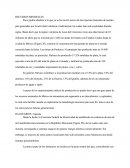 Mexico Y Sus Recursos