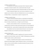 El Eje De Desarrollo Político Territorio: El Principio De La Descentralización Y Principio De La Desconcentración Territorial Y Funcional; Derechos Ambientales