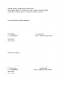 Proyecto Semillero
