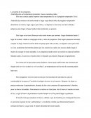 La Marcha De Los Pinguinos