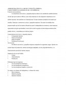 Ensayo De Inseguridad