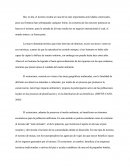 Ensayo De Ecoturismo