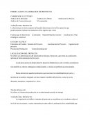 FORMULACION DE PROYECTOS