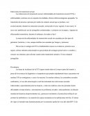 Infecciones De Transmision Sexual