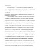 EL ESPECIALISTA DE SEGURIDAD Y SALUD